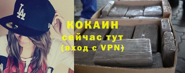 сатива Анжеро-Судженск