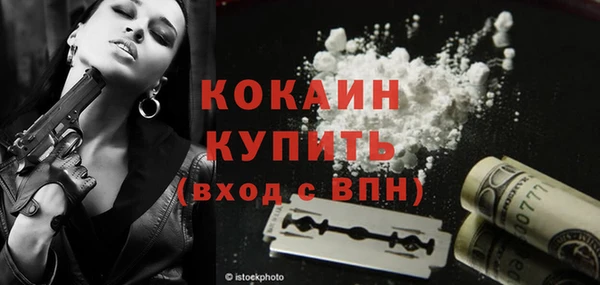 сатива Анжеро-Судженск