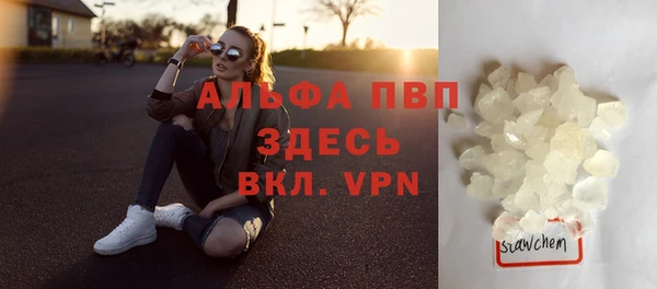 сатива Анжеро-Судженск