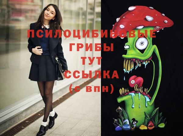 сатива Анжеро-Судженск