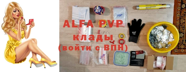 сатива Анжеро-Судженск