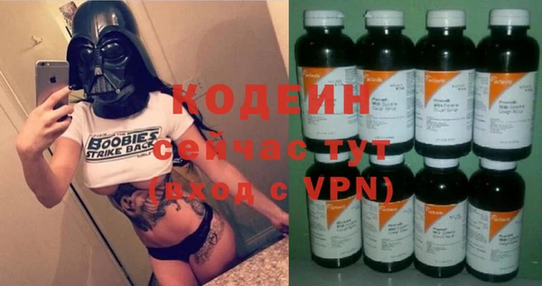 сатива Анжеро-Судженск