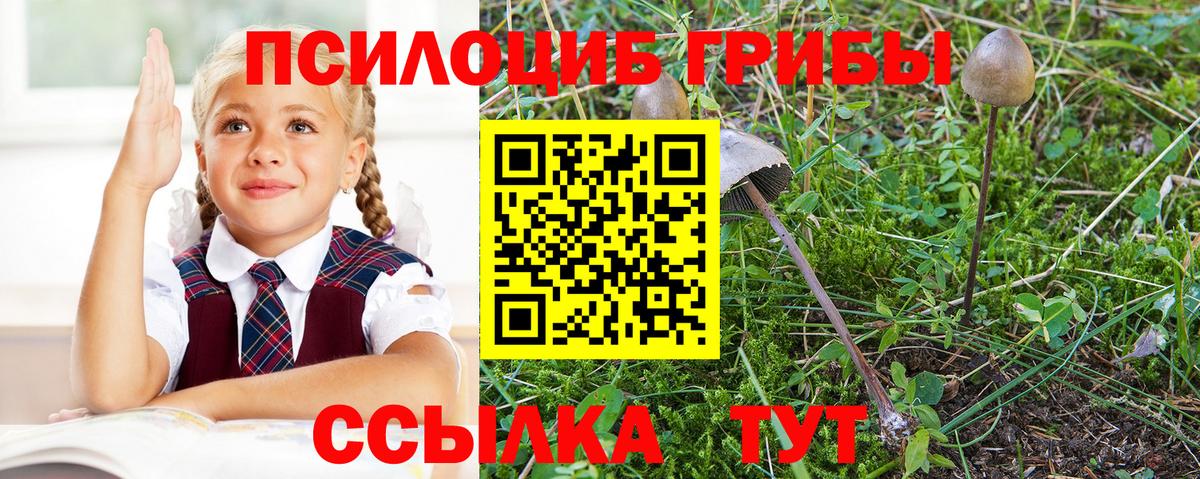 Галлюциногенные грибы Magic Shrooms Донецк