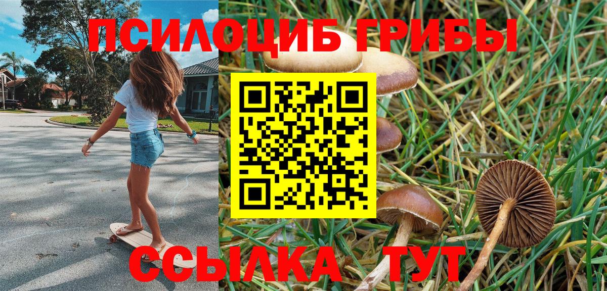 Донецк  Псилоцибиновые грибы прущие грибы  Галлюциногенные грибы мухоморы  Вход с VPN 