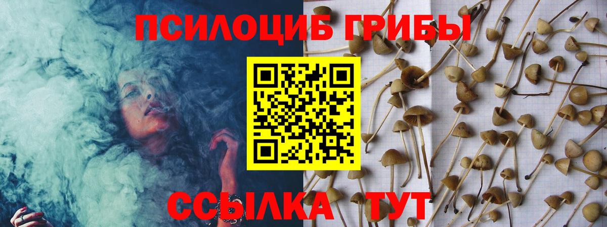Галлюциногенные грибы Cubensis  Донецк 